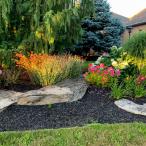 jardin en fleurs