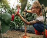 Cueilleuse de fruits et légumes en tant qu'employée saisonnière