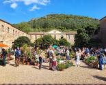 FETE DES PLANTES ET DES MASSIFS