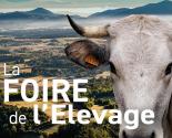 FOIRE DÉPARTEMENTALE DE L'ÉLEVAGE ET DE LA RURALITÉ