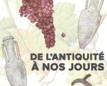 LE VIN DE L'ANTIQUITÉ À NOS JOURS