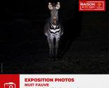 Expo nuit fauve Expo nuit fauve