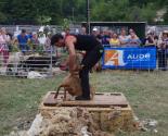 Foire aux bestiaux - Missègre