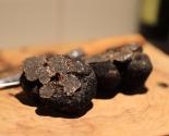 Truffes fraiches