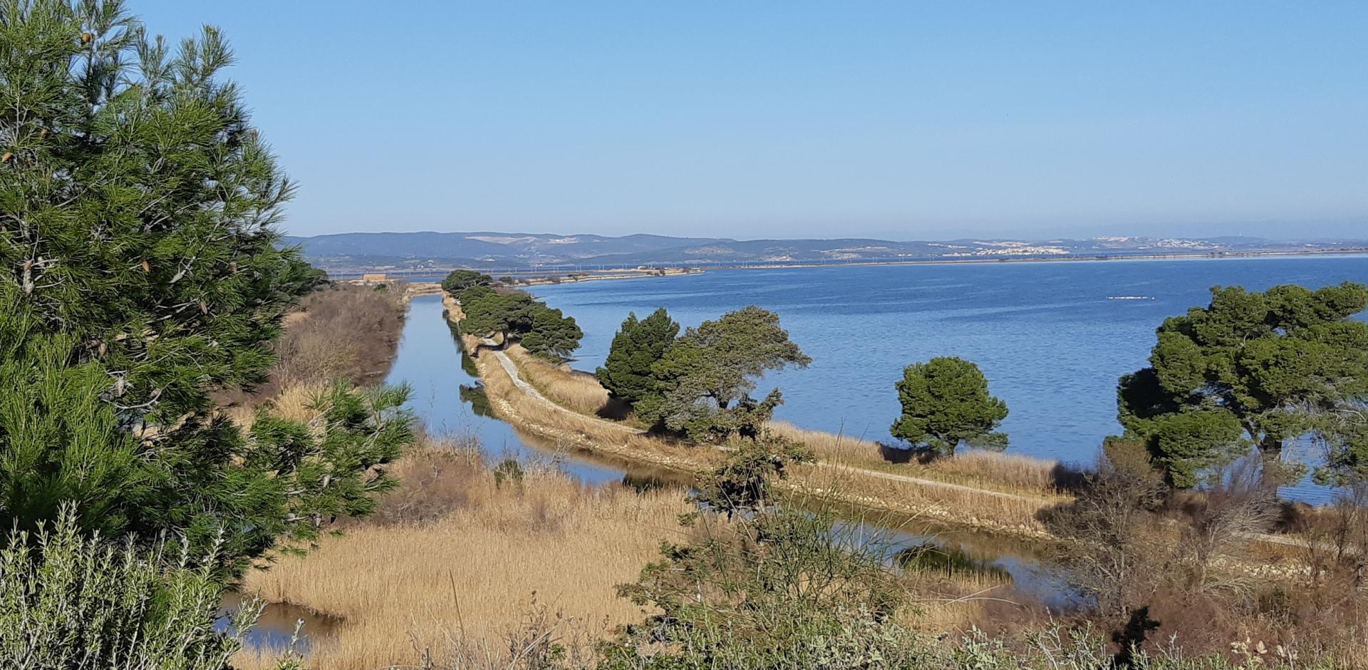 Sortie nature dans le parc naturel régional de la narbonnaise en méditerranée