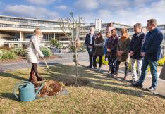 JOURNEE DU 8 MARS - PLANTATION AMANDIER 