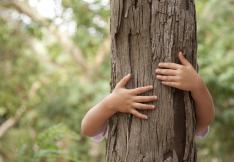 BRAS D'ENFANT SERRANT UN TRONC D'ARBRE