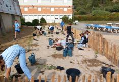 Opération de plantation au collège Delteil de Limoux