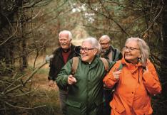 personnes âgées en train de se balader en forêt.