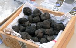 Association des Trufficulteurs de l'Aude