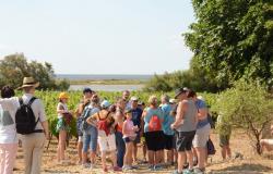 Balade Vigneronne Gruissan