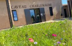 CAVEAU DU DOMAINE DU LYCEE CHARLEMAGNE