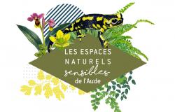 ENS lEzard