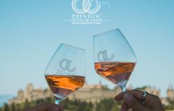 Le grand pique-nique des vignerons de la Cité