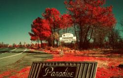 Paradise Maxime Riché