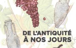 LE VIN DE L'ANTIQUITÉ À NOS JOURS