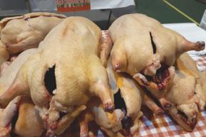 FOIRE AU GRAS CASTELNAUDARY