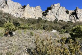 Restauration pelouses méditerranéennes abords Peyrepertuse