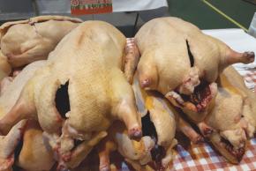 FOIRE AU GRAS CASTELNAUDARY