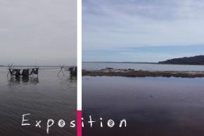 EXPO LES PAYSAGES LAGUNAIRES