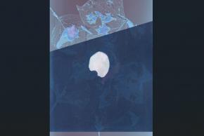 Expo juillet Galerie Remp arts