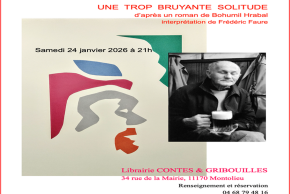 une trop bruyante solitude