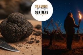 Nuit truffée, Vignes étoilées