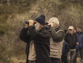 SENTIER DU SALIN AU ROUET A LA PALME - OBSERVATION DES OISEAUX