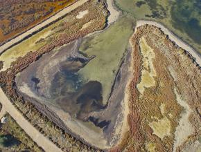 vue aerienne d'un etang avec de la vegetation autour