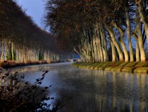 un cours d'eau entouré par des arbres