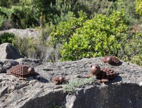 des sculptures metalliques posées sur un rocher