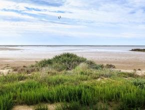 vue sur une plage avec de l'herbe au premier plan