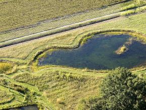 vue aérienne d'un etang
