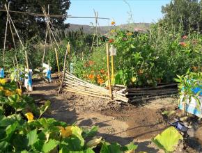 jardin concours aude fleurie