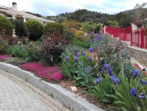 jardin concours aude fleurie