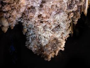 Lustre d'aragonite de la grotte de Limousis.