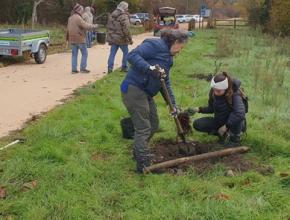 plantation d'arbres fruitiers sur la voie verte Bram-Lavelanet