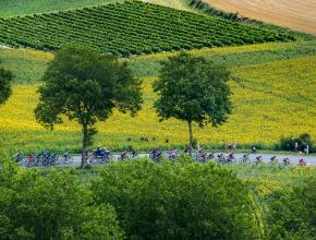 Photo souvenir du Tour de France 2018 - Carcassonne - Bagnères-de-Luchon