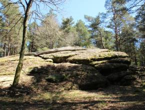 GRANIT FORET LA ROUGE ENS