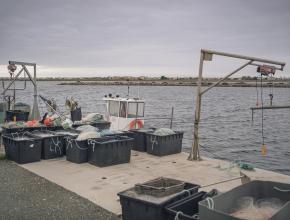 inauguration du quai de pêche à Gruissan