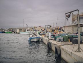 inauguration du quai de pêche à Gruissan