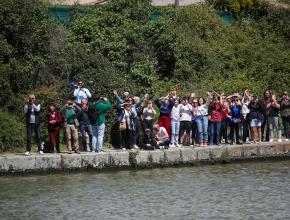 CASTELNAUDARY
