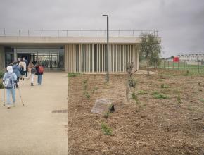 Végétalisation du collège rosa parks à Lézignan dans l'aude.
