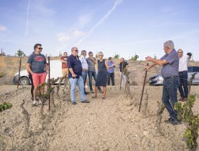 Hélène Sandragné à la rencontre des viticulteurs de la cave coopérative de Portel-des-Corbières