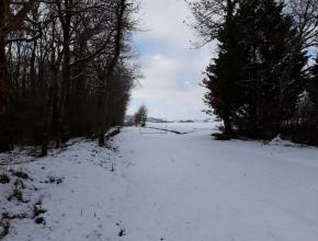 LA VOIE VERTE ENNEIGÉE