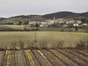 Visite d'Hélène Sandragné au domaine de Cazes