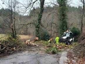 Les agents des routes du département de l'Aude dégagent la chaussée après le passage de la tempête Nils