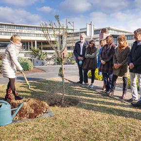 JOURNEE DU 8 MARS - PLANTATION AMANDIER 