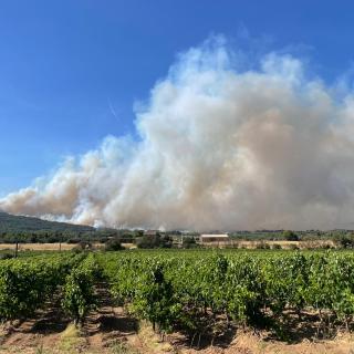 Feu d'Oupia, Pouzols et Saint-Valière dans l'Aude, juillet 2026