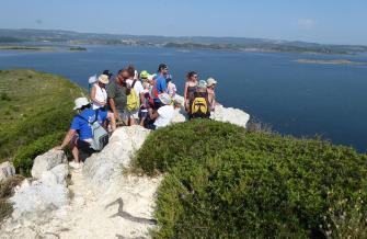 Visite de l'île de l'Aute, dans l'Aude